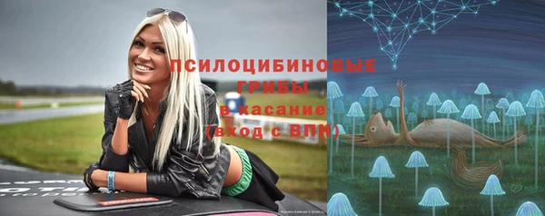 амф Беломорск