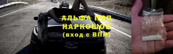 прущие грибы Верхнеуральск