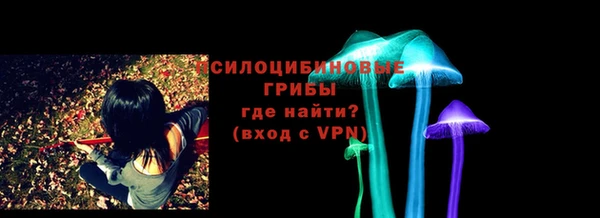 винт Верея