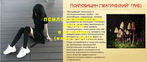 винт Верея