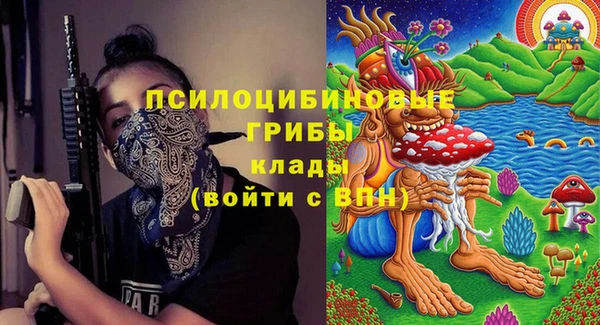 прущие грибы Верхнеуральск