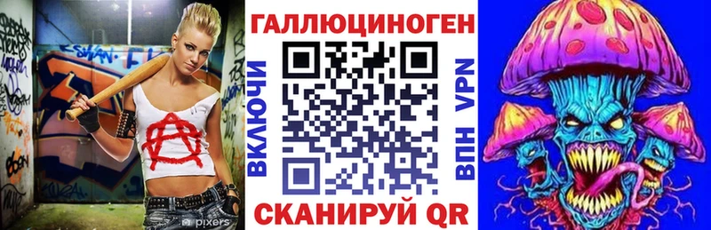 где продают наркотики  Видное  Псилоцибиновые грибы Psilocybe 